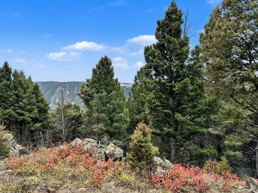 30 Bunks Trail Ennis MT 59729