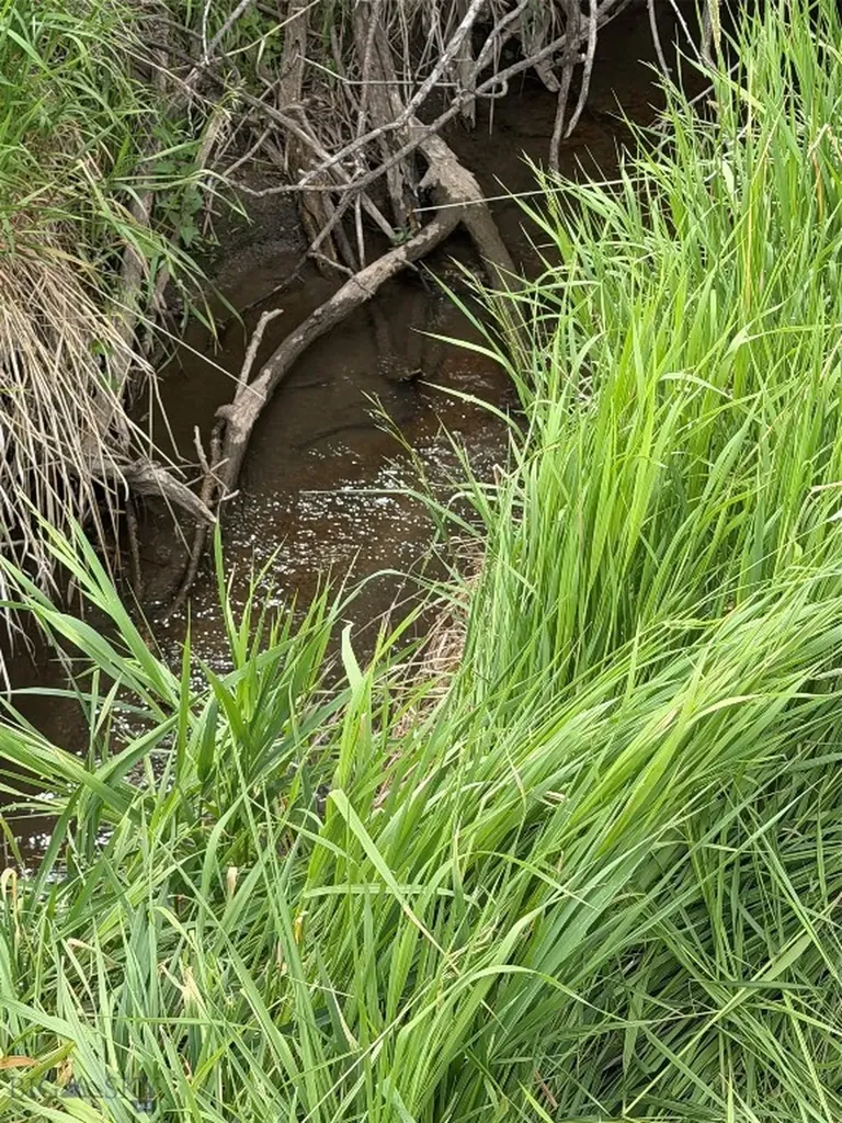Tbd Moorese Creek Court Ennis MT 59729