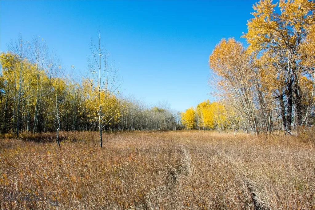 Tbd L Street & Story Mill Road Bozeman MT 59715