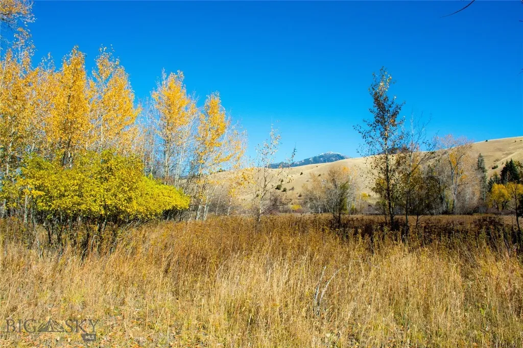 Tbd L Street & Story Mill Road Bozeman MT 59715