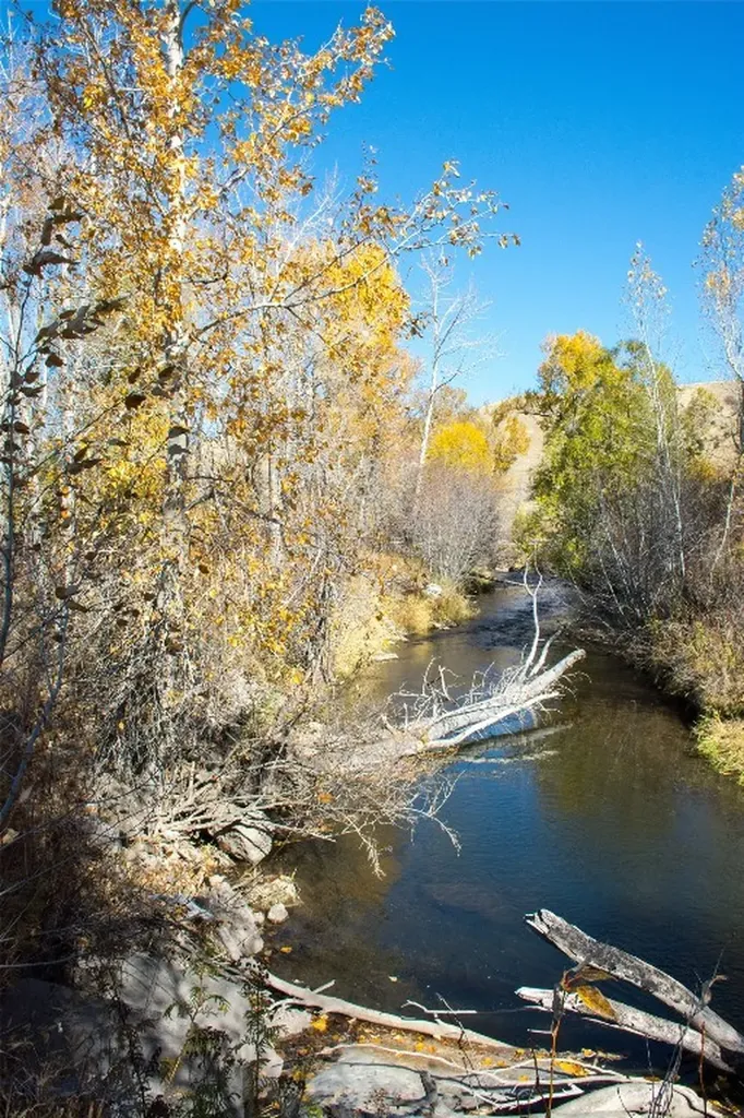 Tbd L Street & Story Mill Road Bozeman MT 59715