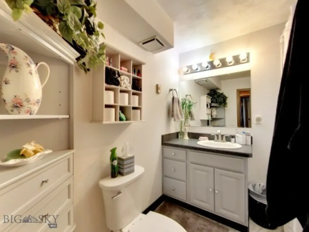 214 Beaverhead Lane Dillon MT 59725