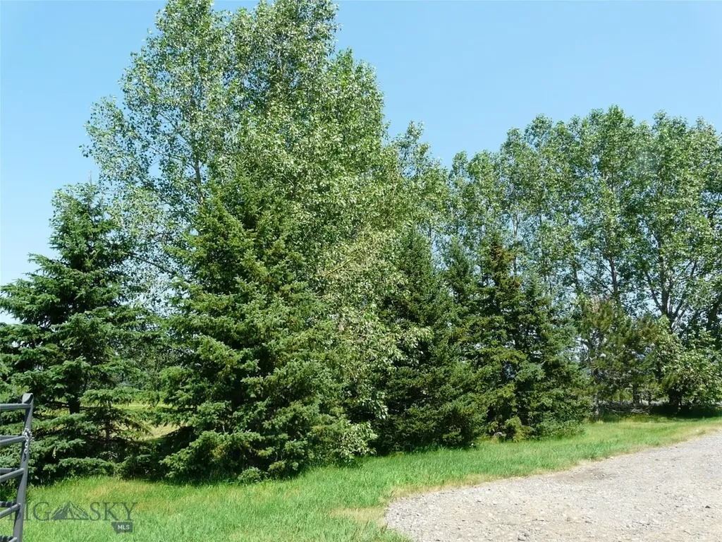 7543 Fowler Lane Bozeman MT 59718