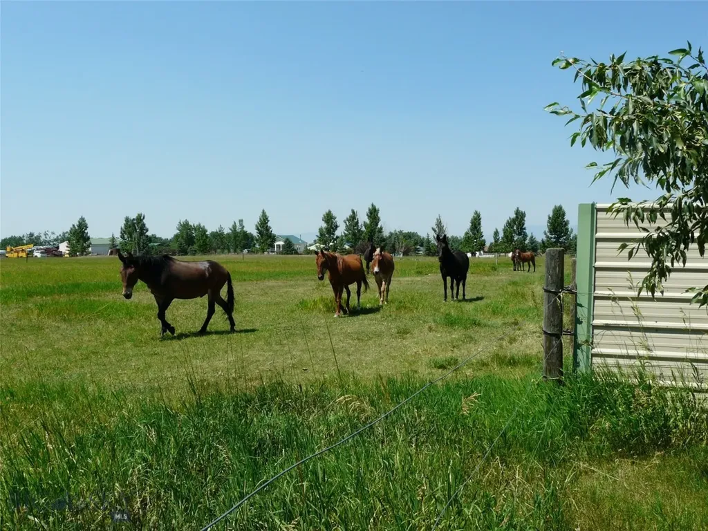 7543 Fowler Lane Bozeman MT 59718