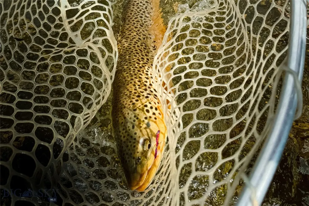 69 Upper Rainbow Bozeman MT 59718