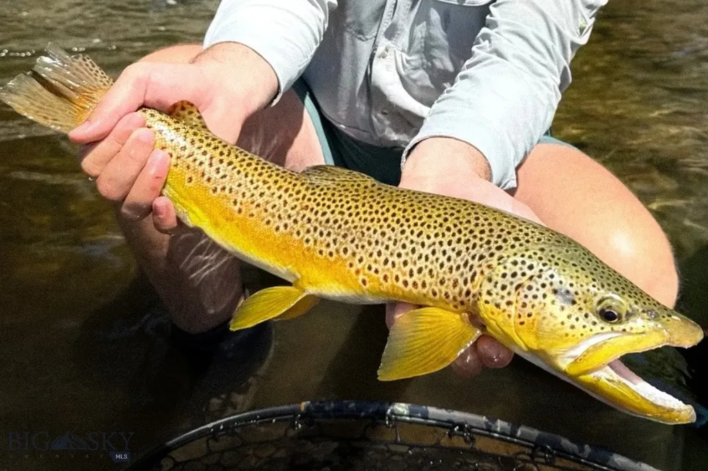 69 Upper Rainbow Bozeman MT 59718