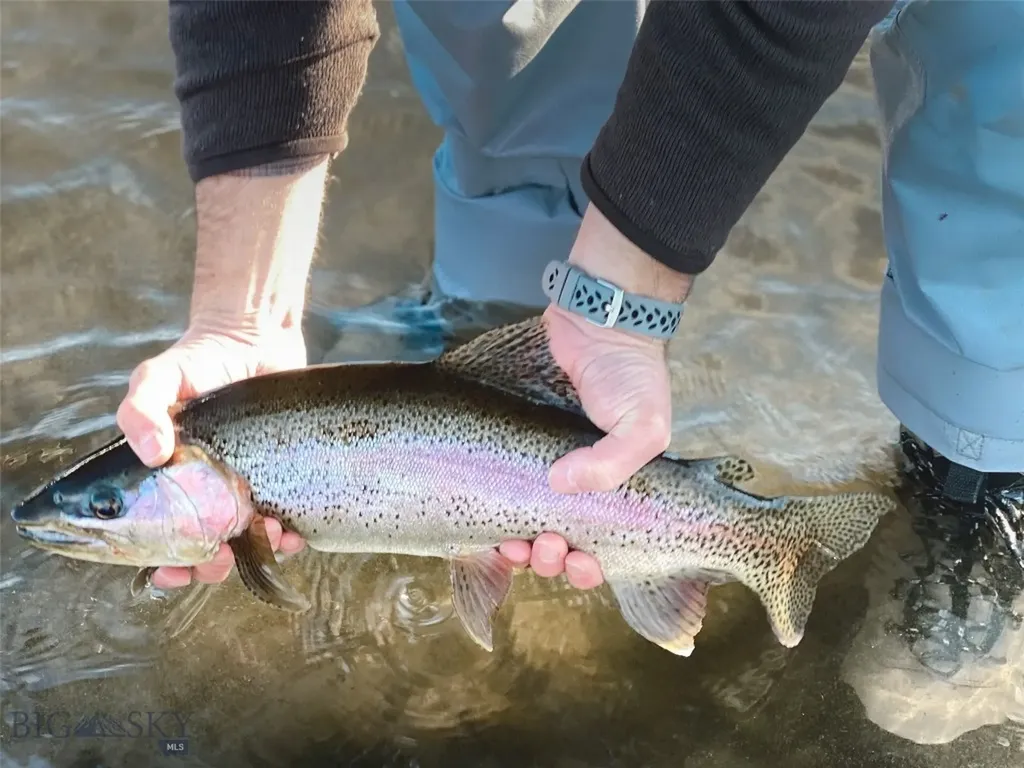 69 Upper Rainbow Bozeman MT 59718