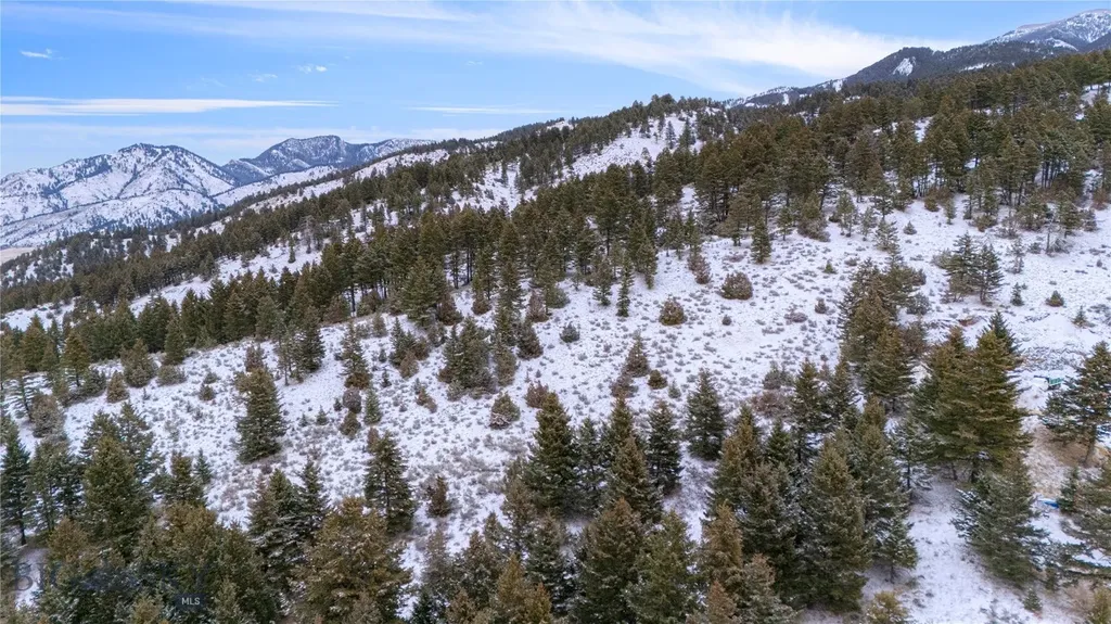 405 Resolute Ridge Bozeman MT 59715
