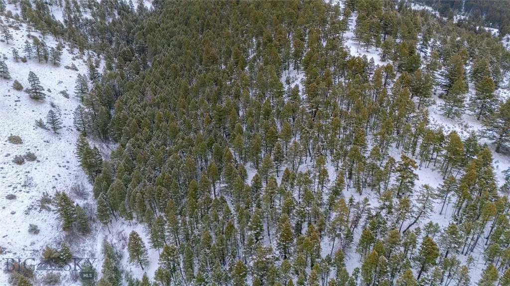 405 Resolute Ridge Bozeman MT 59715