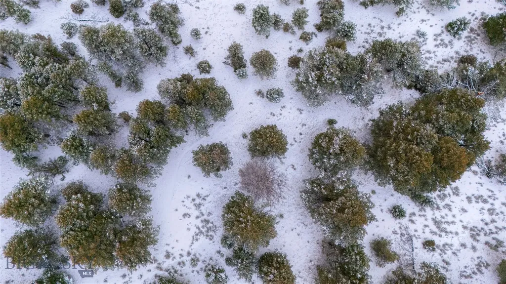 405 Resolute Ridge Bozeman MT 59715