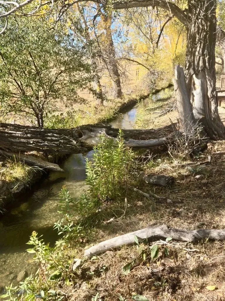 3957 Blacktail Road Dillon MT 59725
