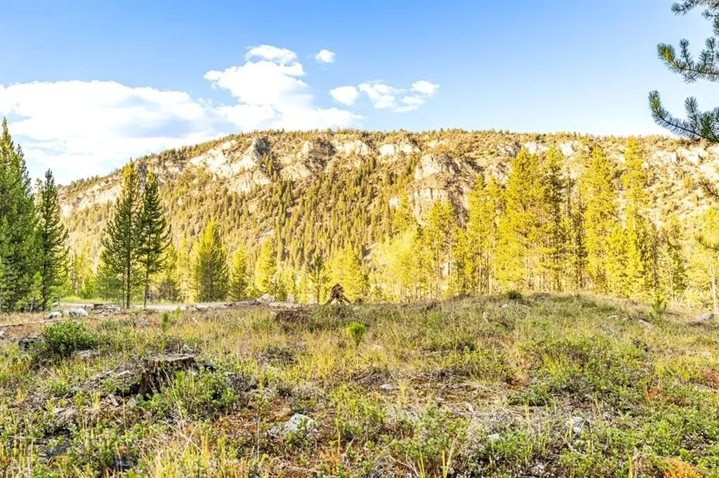 Tbd Lot #6 Herring Flats Road Anaconda MT 59701