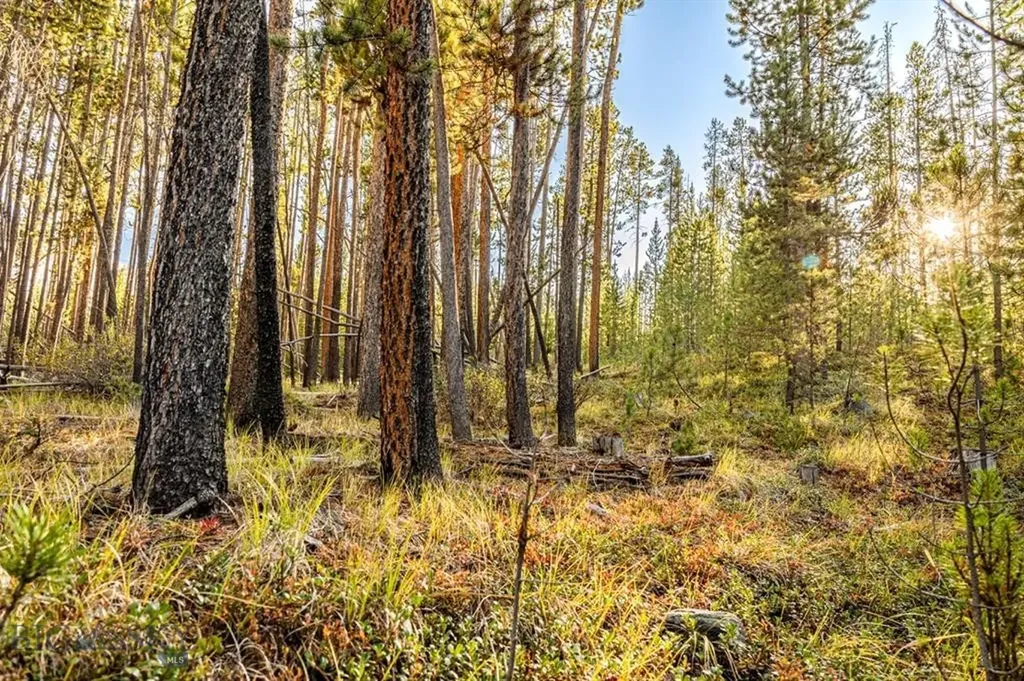 Tbd Lot #6 Herring Flats Road Anaconda MT 59701