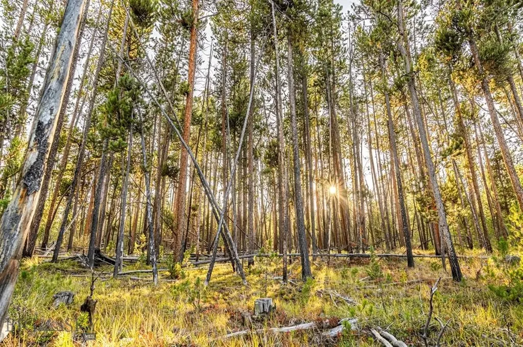 Tbd Lot #6 Herring Flats Road Anaconda MT 59701