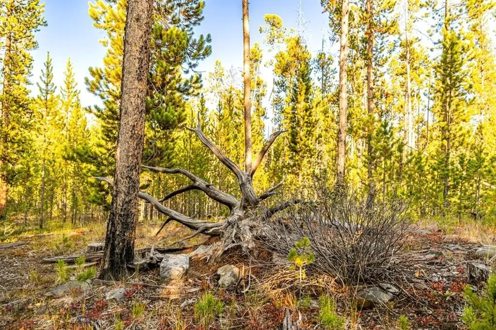 Tbd Lot #6 Herring Flats Road Anaconda MT 59701
