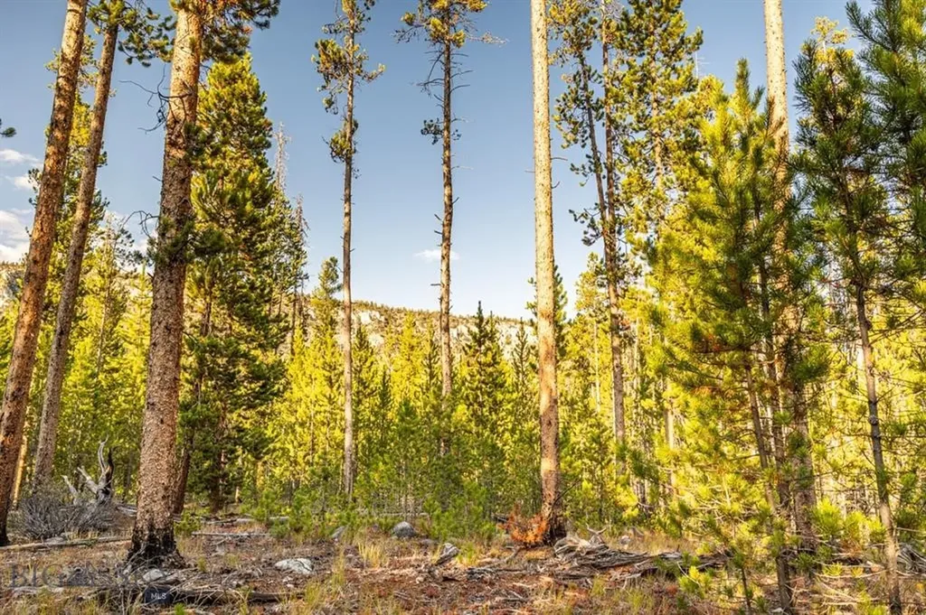 Tbd Lot #6 Herring Flats Road Anaconda MT 59701