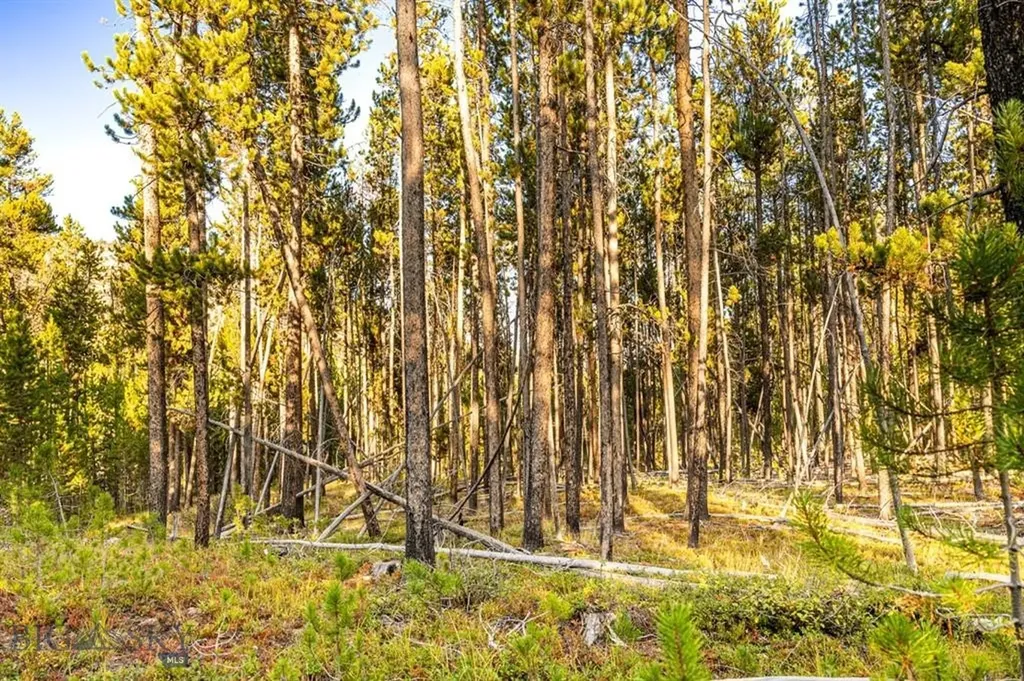 Tbd Lot #6 Herring Flats Road Anaconda MT 59701
