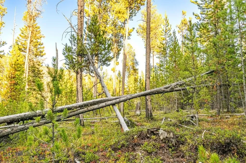 Tbd Lot #10 Herring Flats Road Anaconda MT 59701