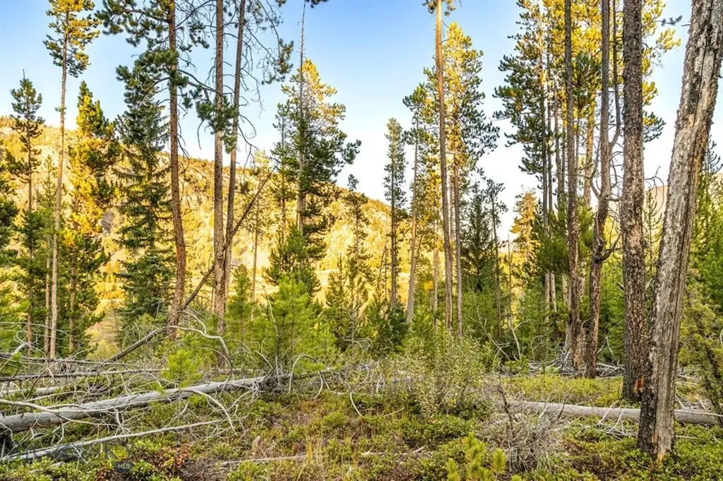 Tbd Lot #10 Herring Flats Road Anaconda MT 59701