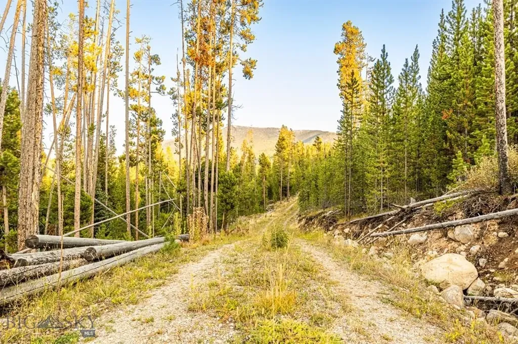 Tbd Lot #10 Herring Flats Road Anaconda MT 59701