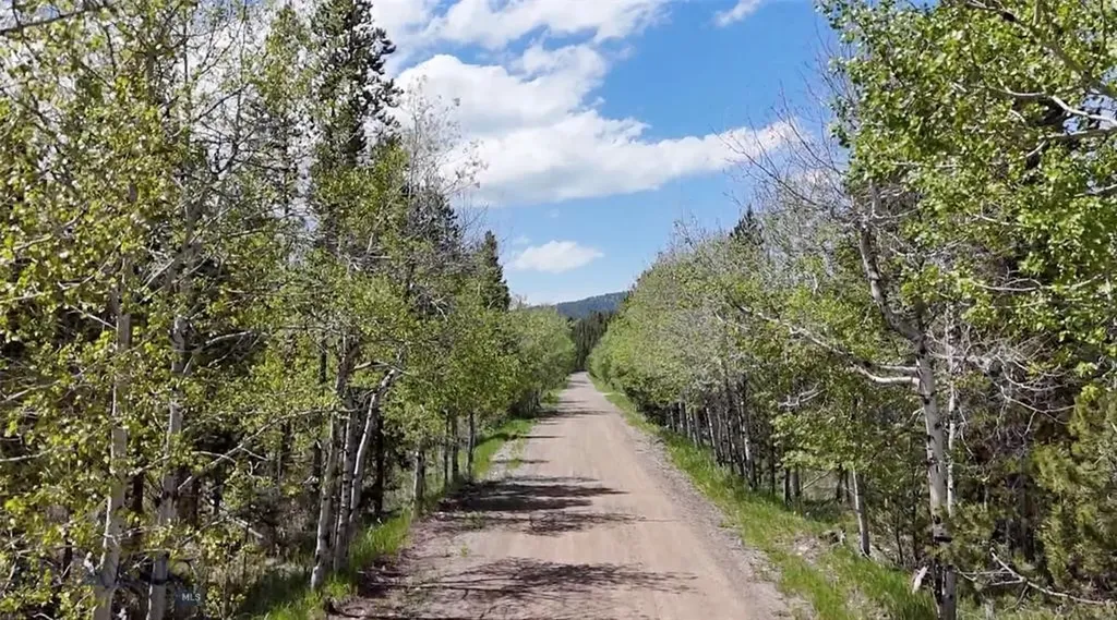 Tbd Lot #10 Herring Flats Road Anaconda MT 59701