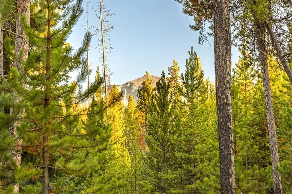 Tbd Lot #10 Herring Flats Road Anaconda MT 59701