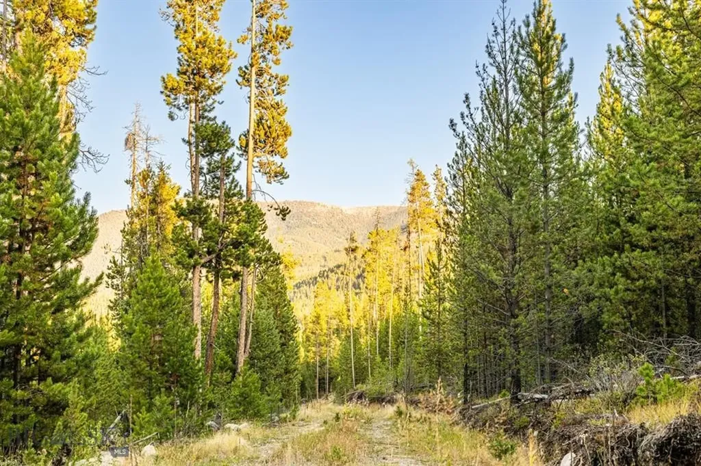 Tbd Lot #10 Herring Flats Road Anaconda MT 59701