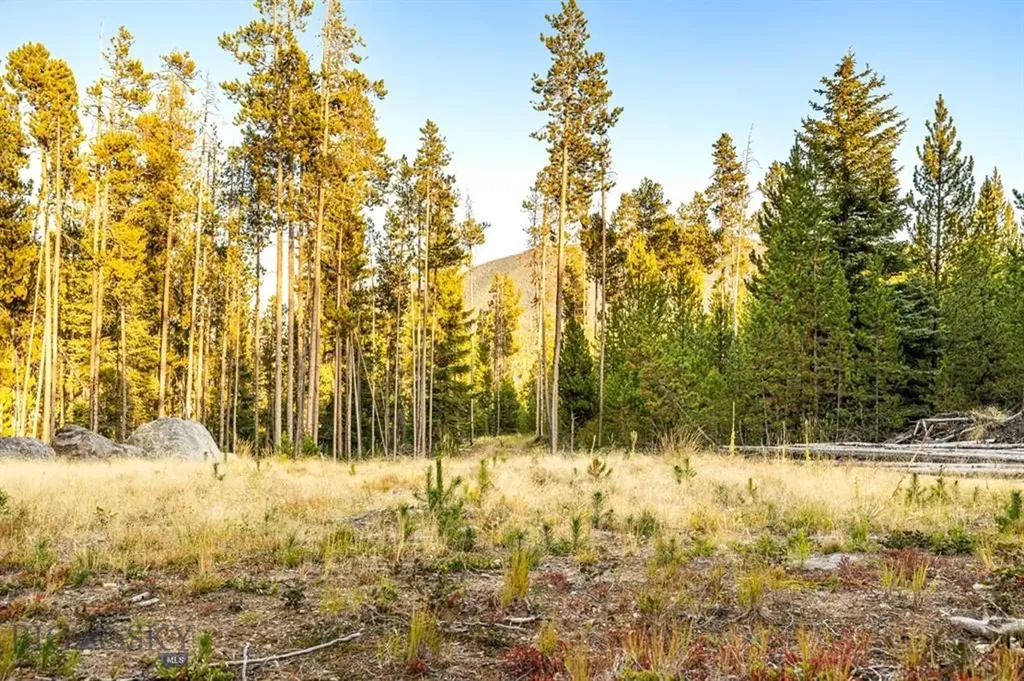 Tbd Lot #10 Herring Flats Road Anaconda MT 59701