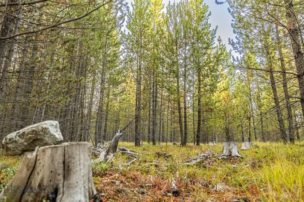 Tbd Lot #10 Herring Flats Road Anaconda MT 59701