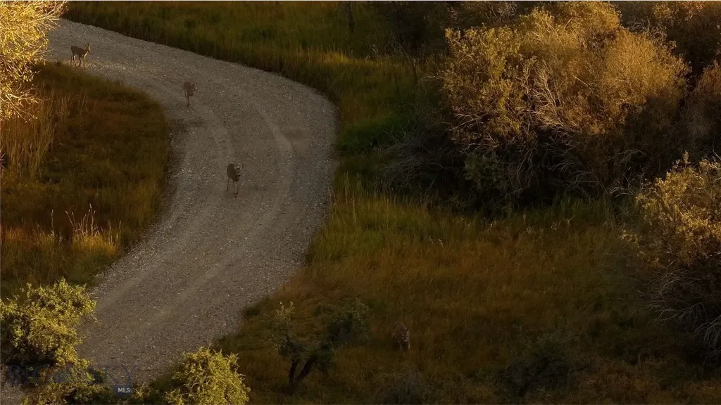 15 Meridian Road Three Forks MT 59752