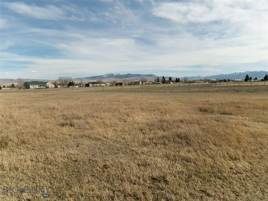 1335 Cattle Drive Dillon MT 59725