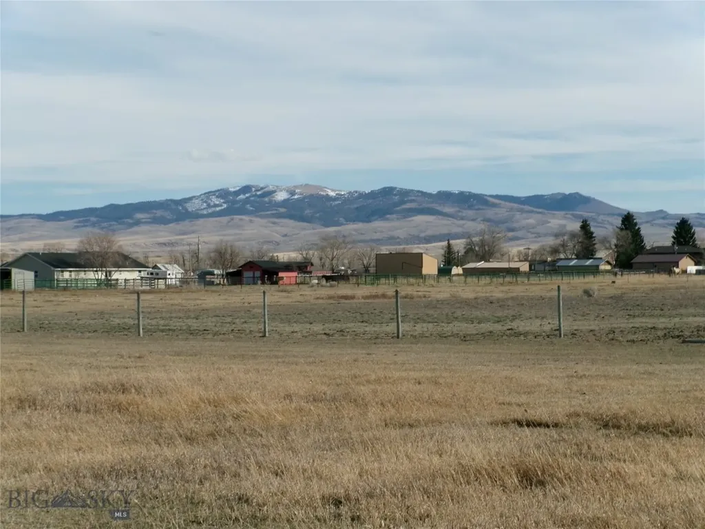 1335 Cattle Drive Dillon MT 59725