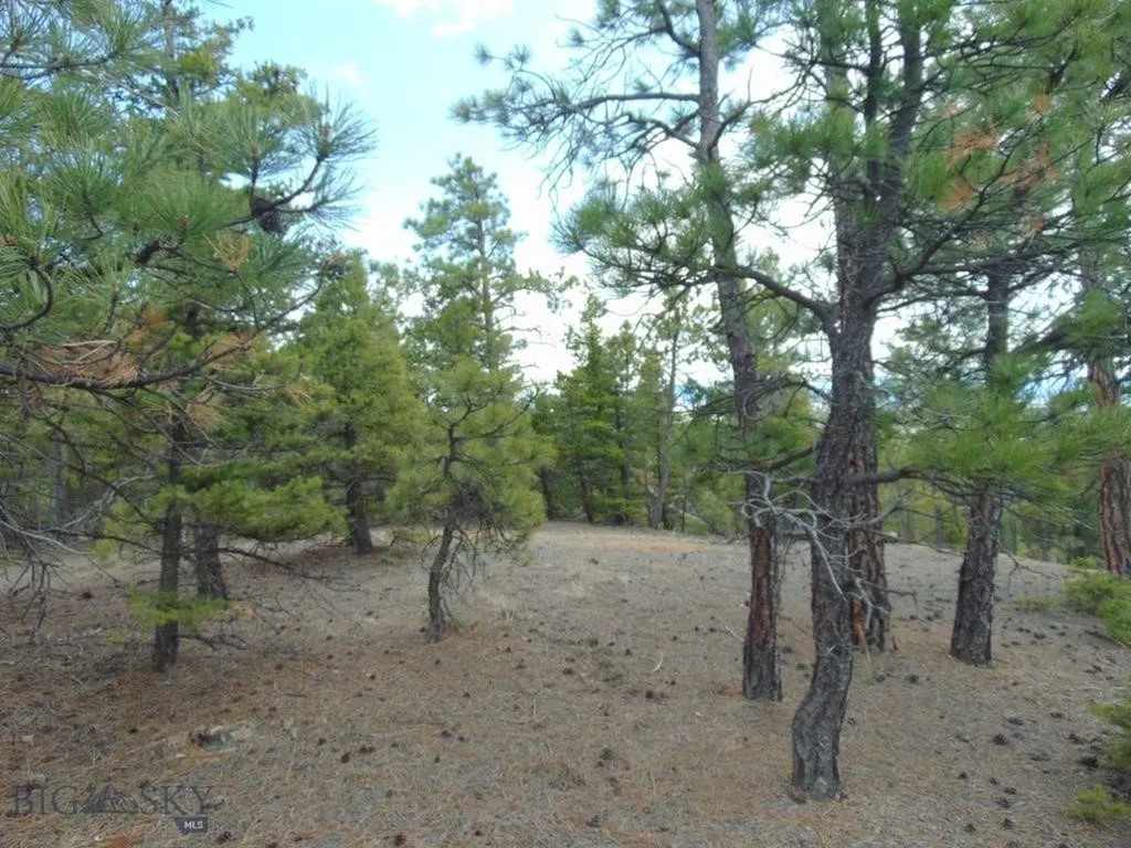 3575 Sweetwater Road Helena MT 59602
