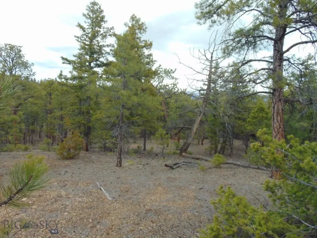 3575 Sweetwater Road Helena MT 59602