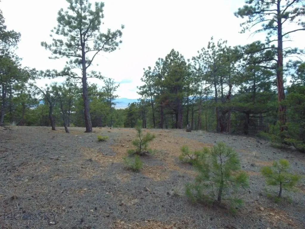 3575 Sweetwater Road Helena MT 59602
