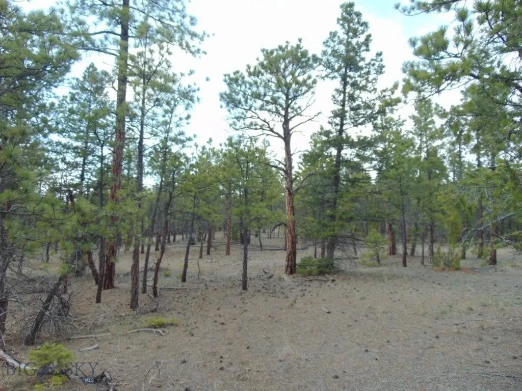3575 Sweetwater Road Helena MT 59602