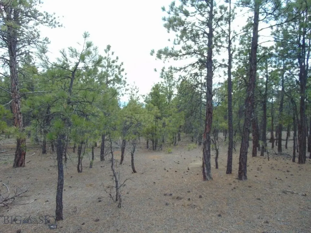 3575 Sweetwater Road Helena MT 59602