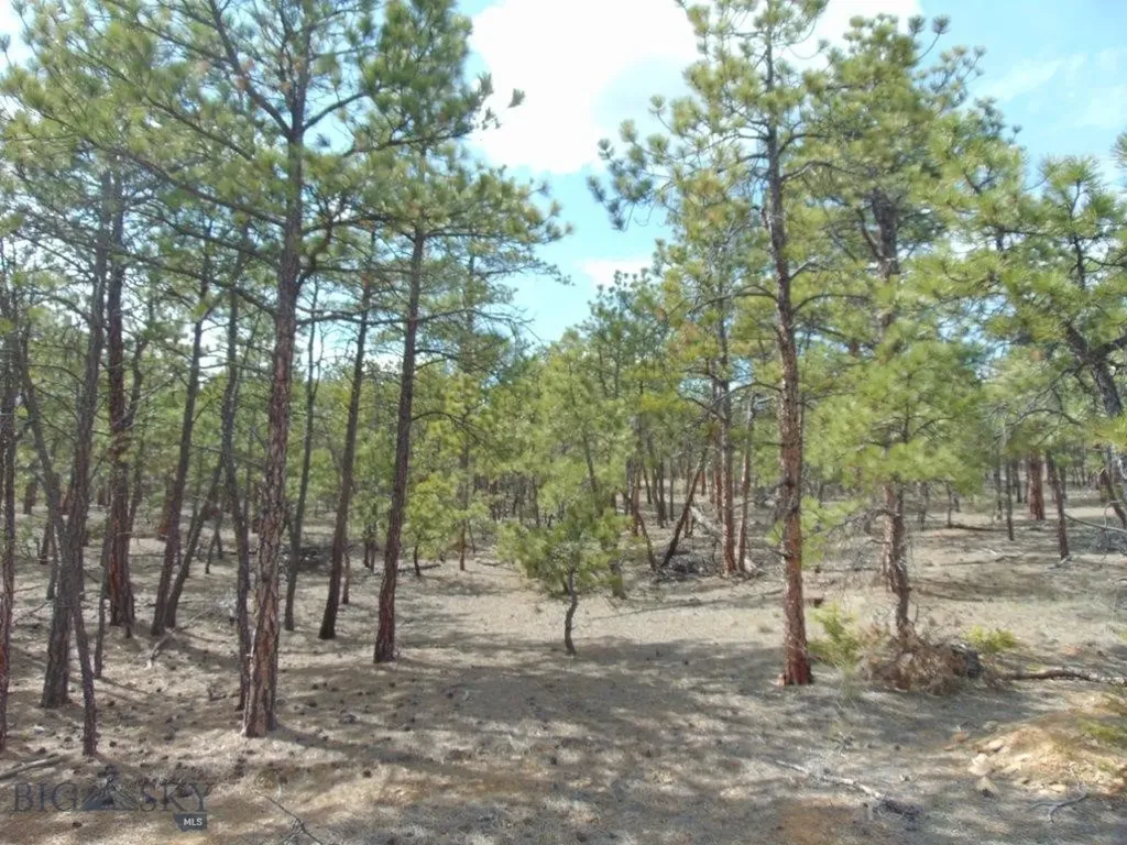 3575 Sweetwater Road Helena MT 59602