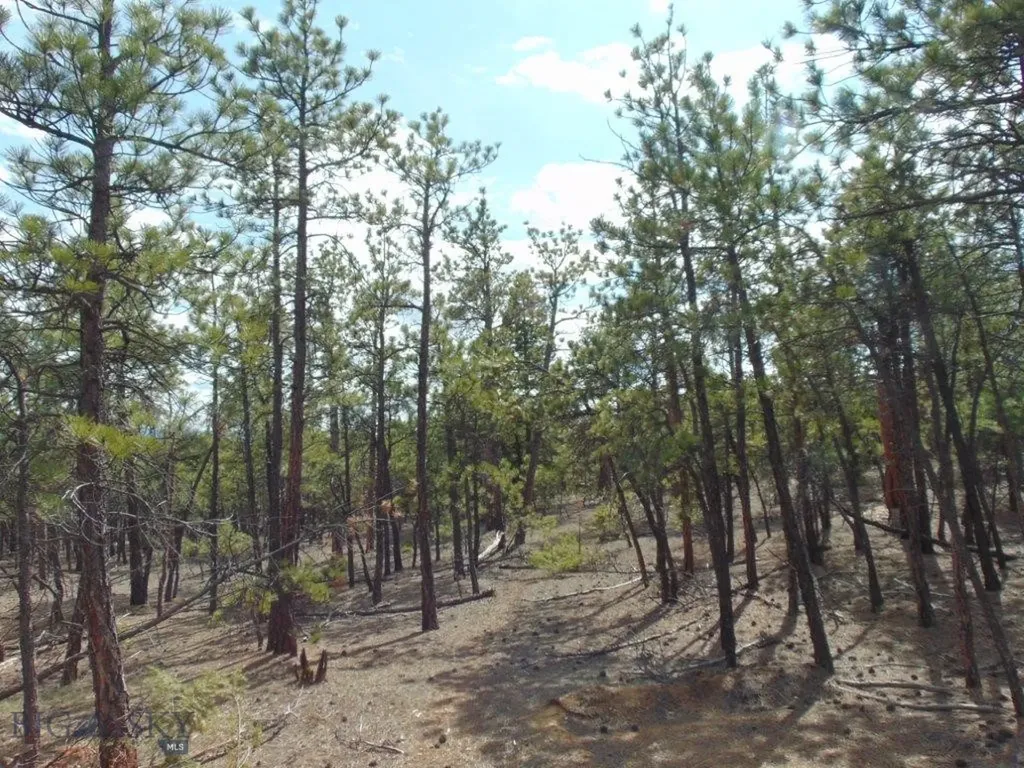 3575 Sweetwater Road Helena MT 59602