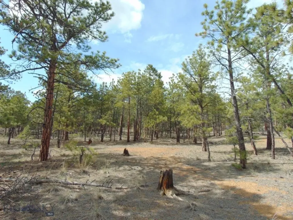 3575 Sweetwater Road Helena MT 59602