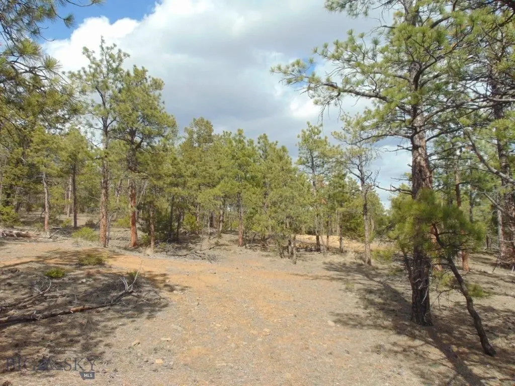 3575 Sweetwater Road Helena MT 59602
