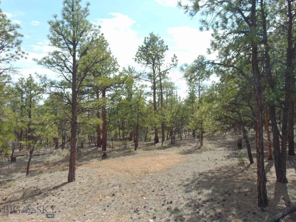3575 Sweetwater Road Helena MT 59602