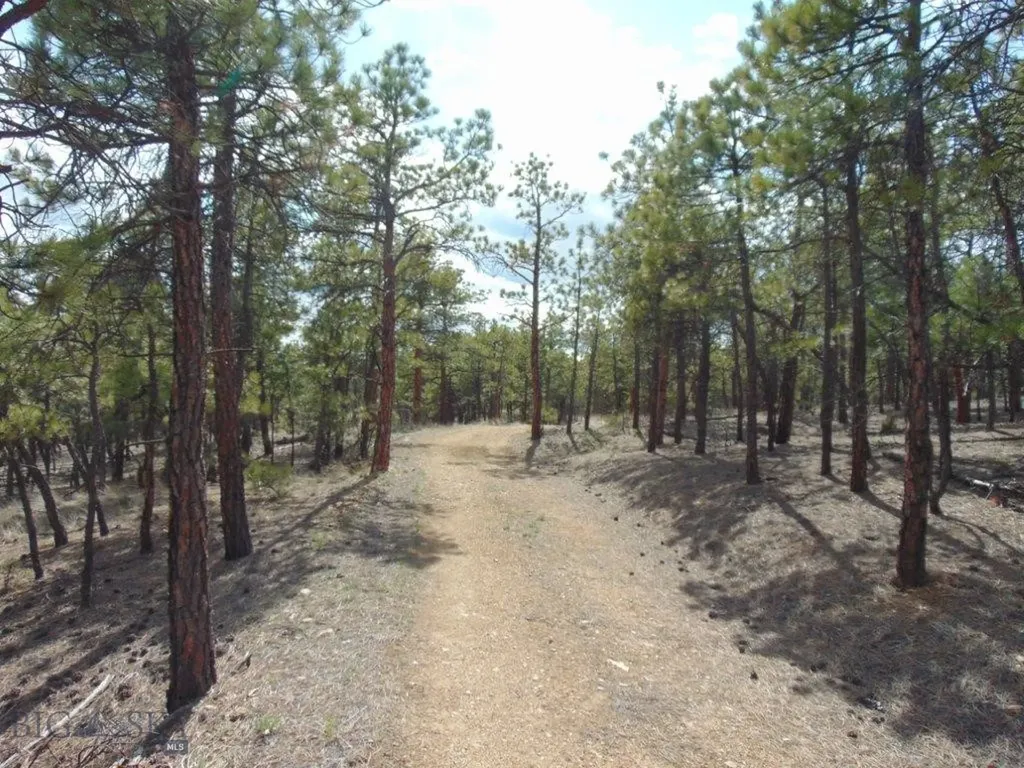 3575 Sweetwater Road Helena MT 59602