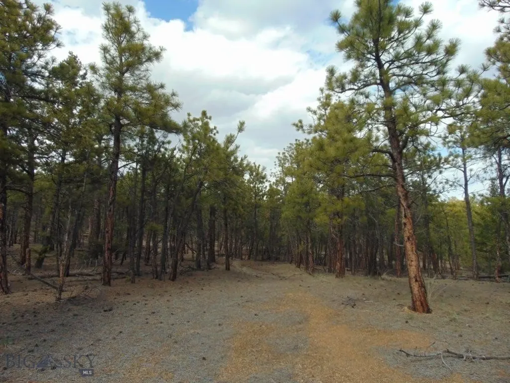 3575 Sweetwater Road Helena MT 59602