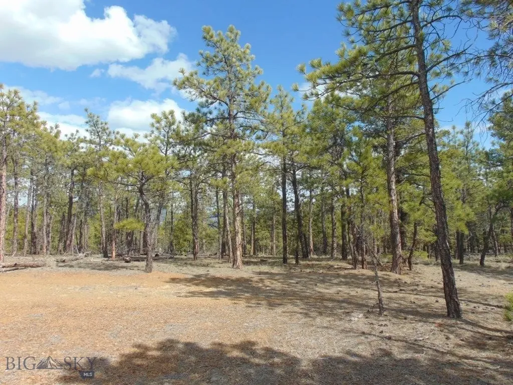 3575 Sweetwater Road Helena MT 59602