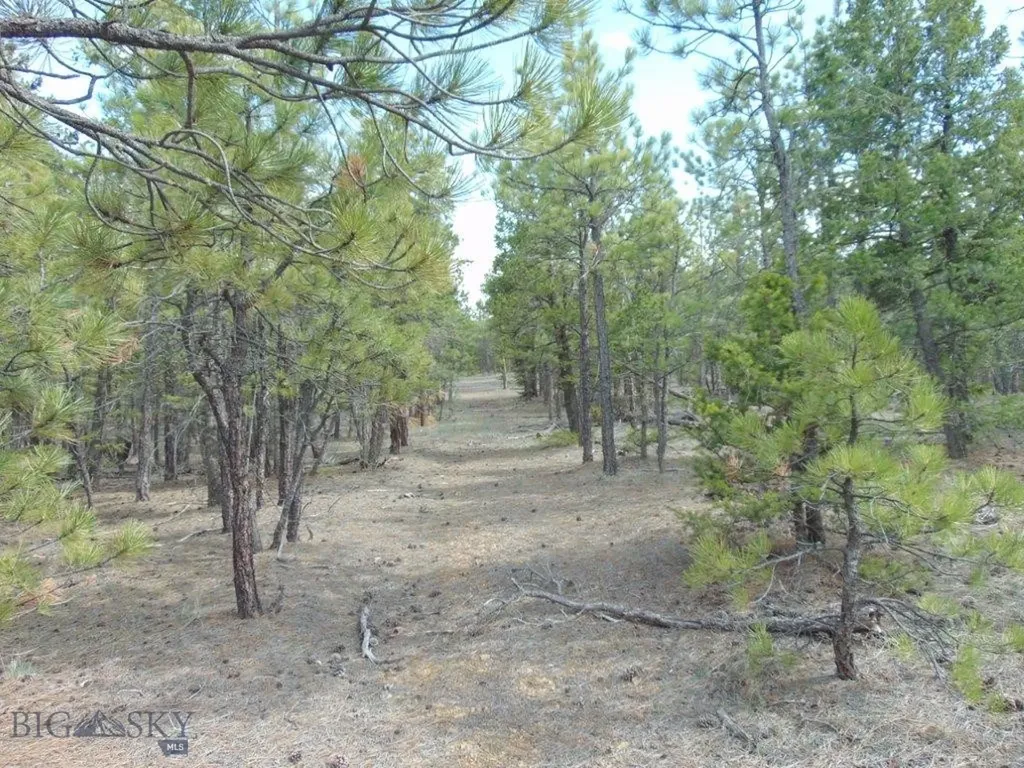 3575 Sweetwater Road Helena MT 59602