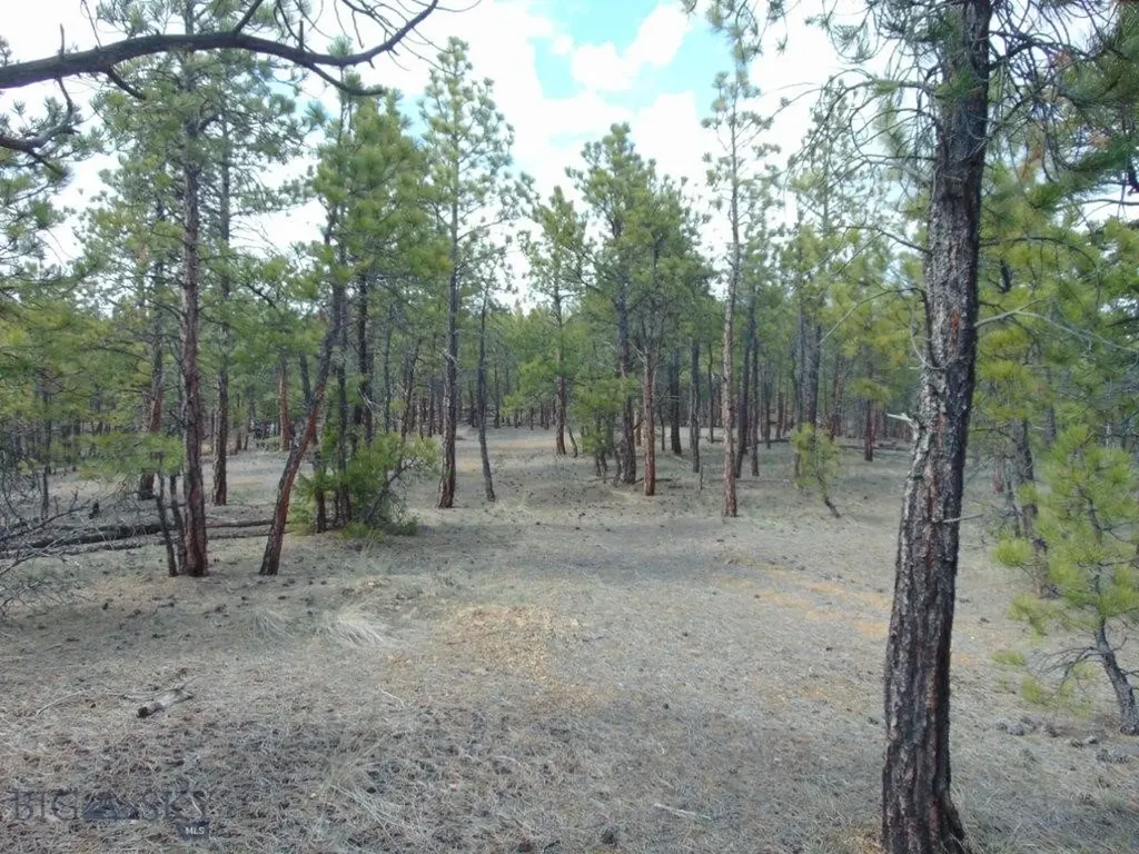 3575 Sweetwater Road Helena MT 59602