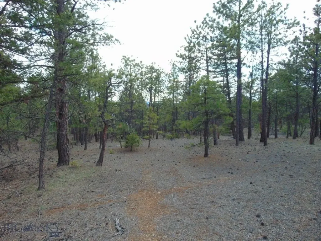3575 Sweetwater Road Helena MT 59602