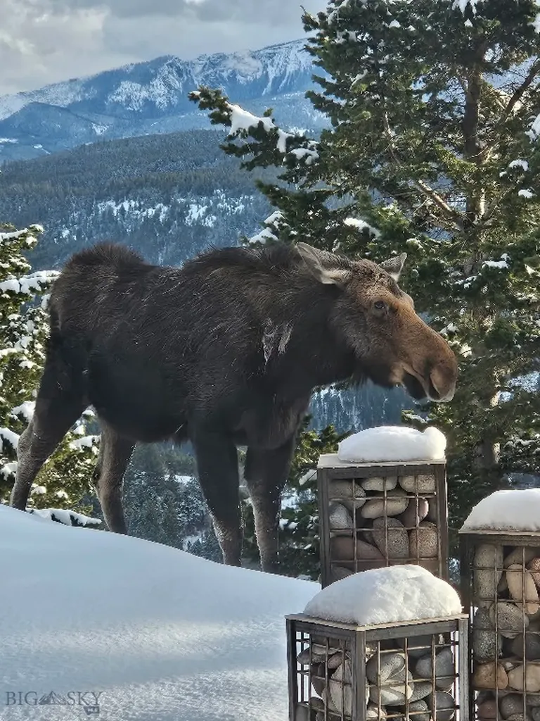 176 Game Trail Road Bozeman MT 59715