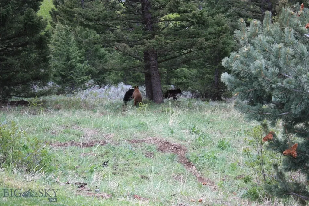 176 Game Trail Road Bozeman MT 59715